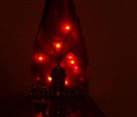 Wine Bottle Lights