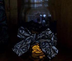 Mason Jars